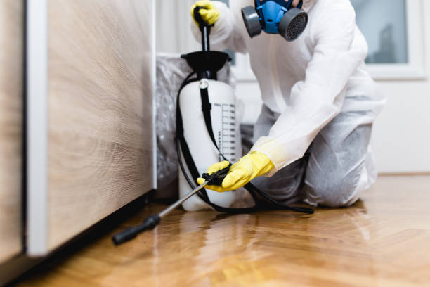 Best Exterminator Services  in Graniteville, SC