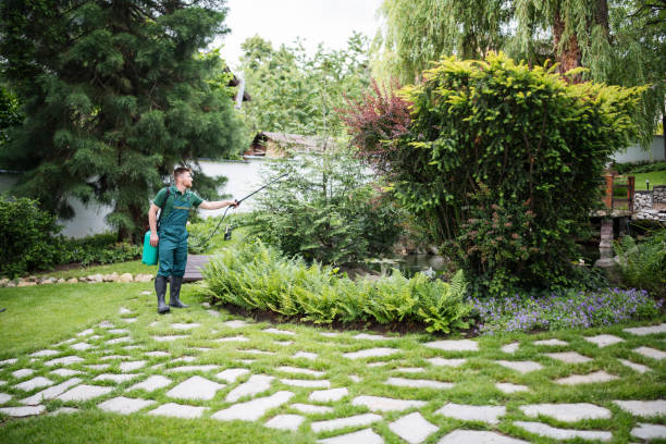 Best Pest Inspection Near Me  in Graniteville, SC