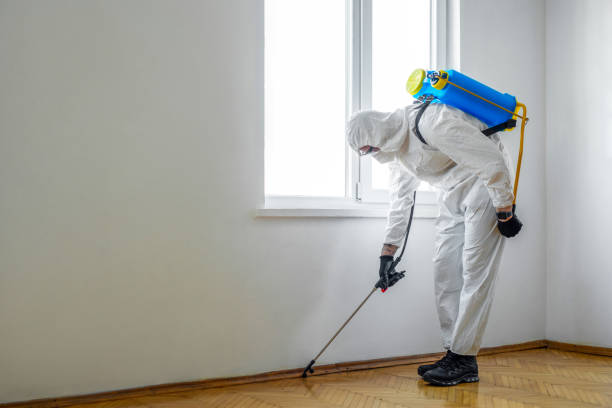 Best Pest Control Near Me  in Graniteville, SC