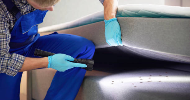 Best Pest Control for Homes  in Graniteville, SC