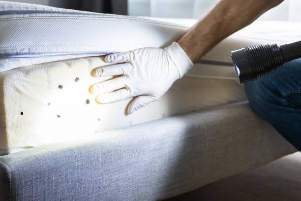 Best Affordable Pest Control Services  in Graniteville, SC