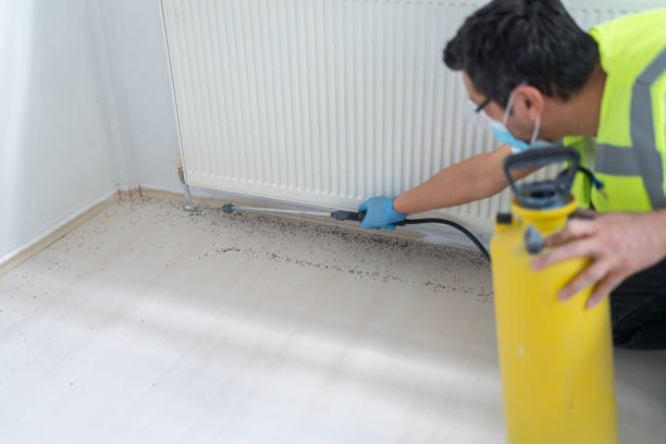Best Commercial Pest Control Services  in Graniteville, SC
